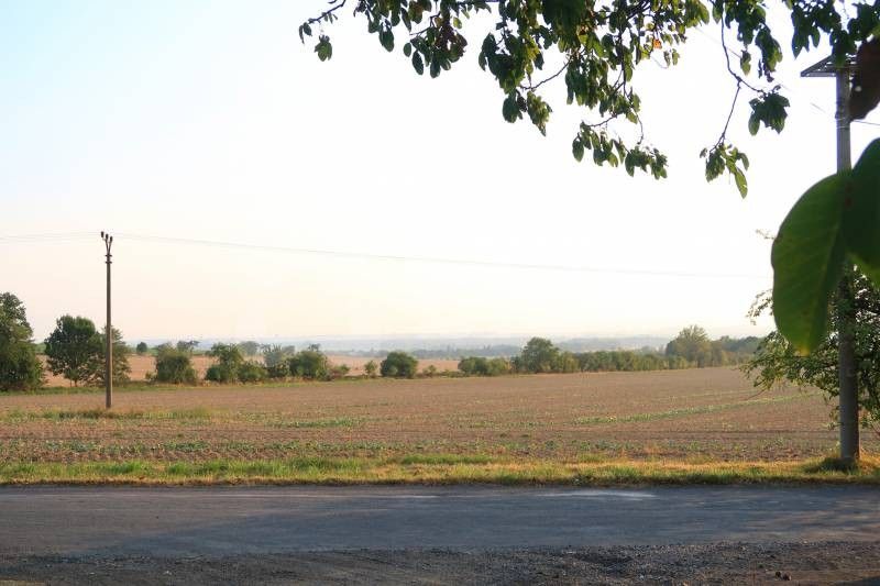 Prodej pozemku 3030 m² - foto 4