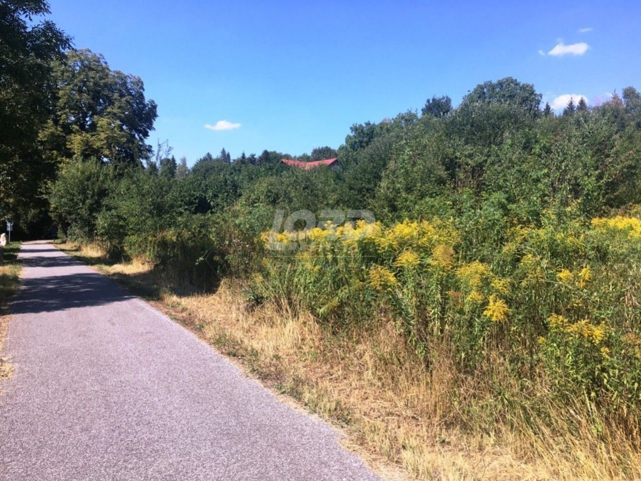 Prodej pozemku 2780 m² - foto 16