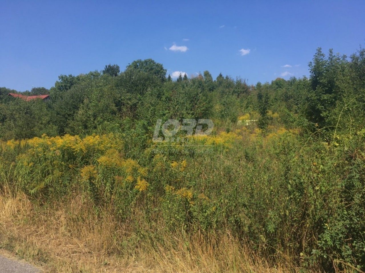 Prodej pozemku 2780 m² - foto 18