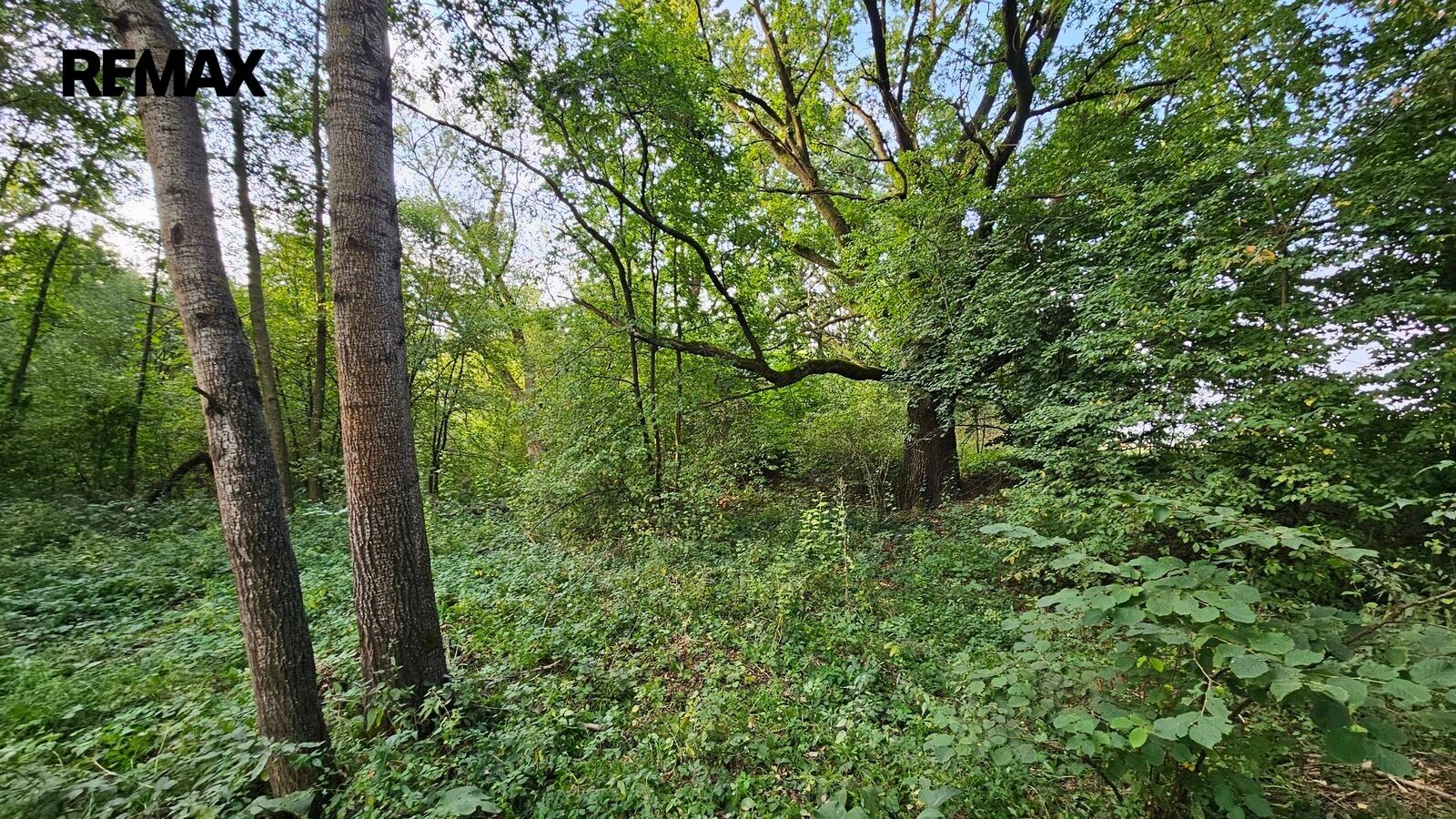 Prodej pozemku 2997 m² - foto 3