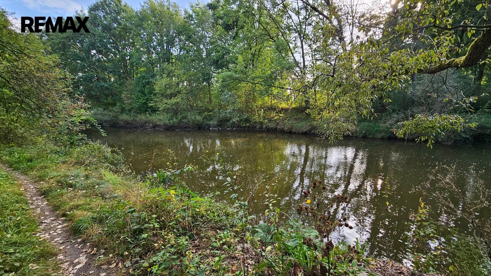 Prodej pozemku 2997 m² - foto 2