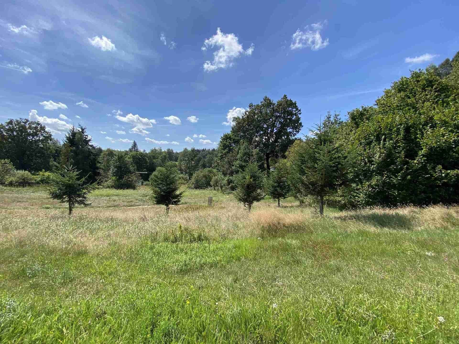 Prodej pozemku 2258 m² - foto 4