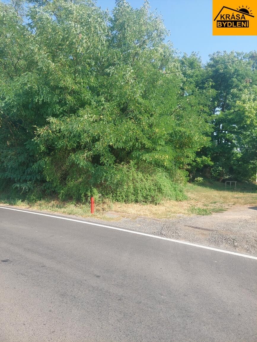 Prodej nemovitosti 436 m² - foto 8