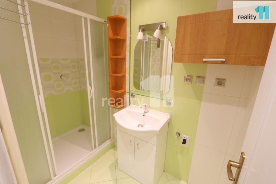 Pronájem bytu 2+1 47 m² - foto 4