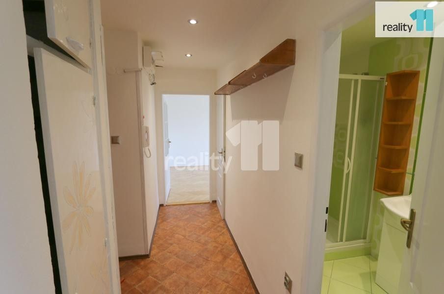 Pronájem bytu 2+1 47 m² - foto 8