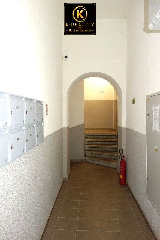 Pronájem bytu 2+1 50 m² - foto 17