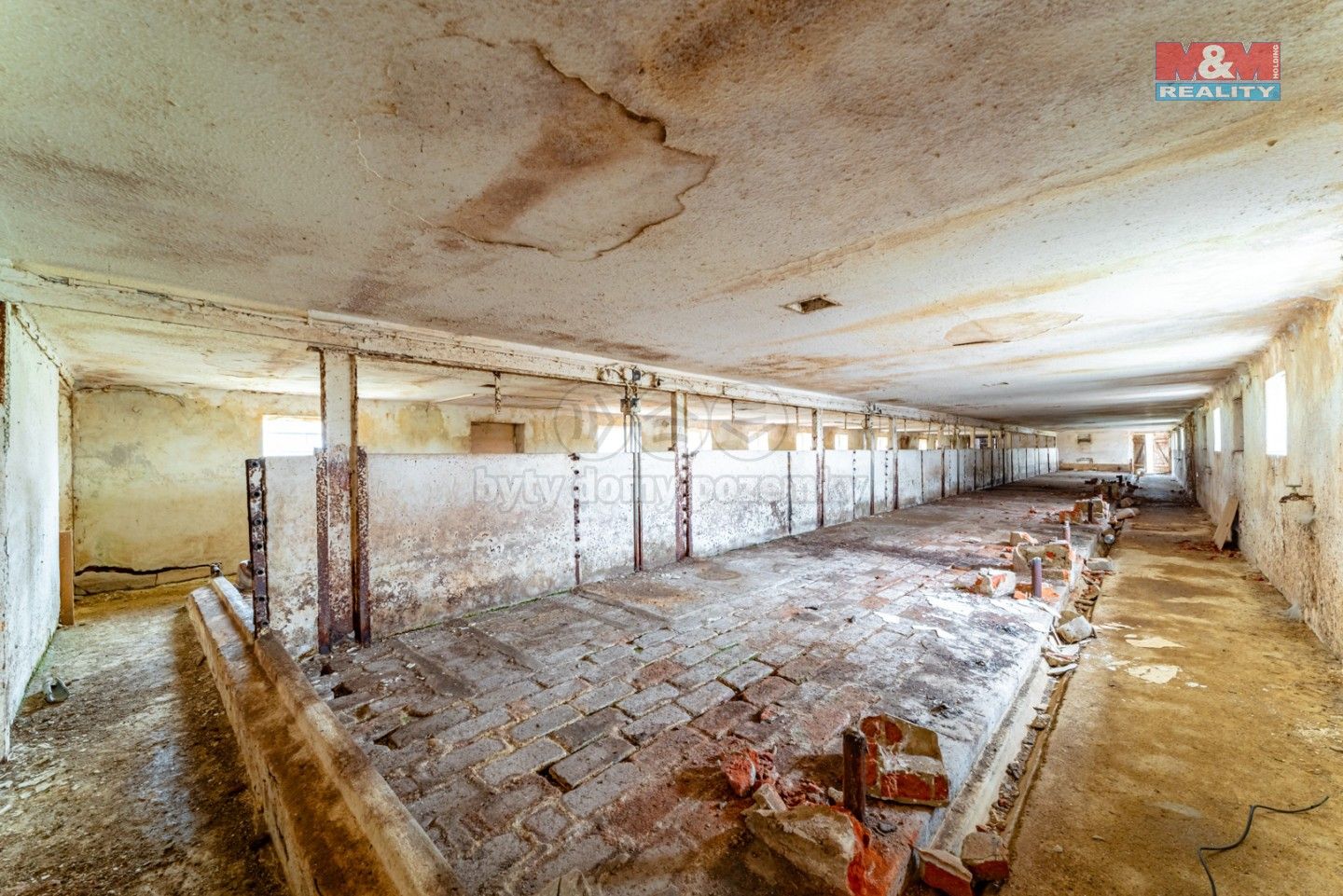 Prodej nemovitosti 600 m² - foto 5
