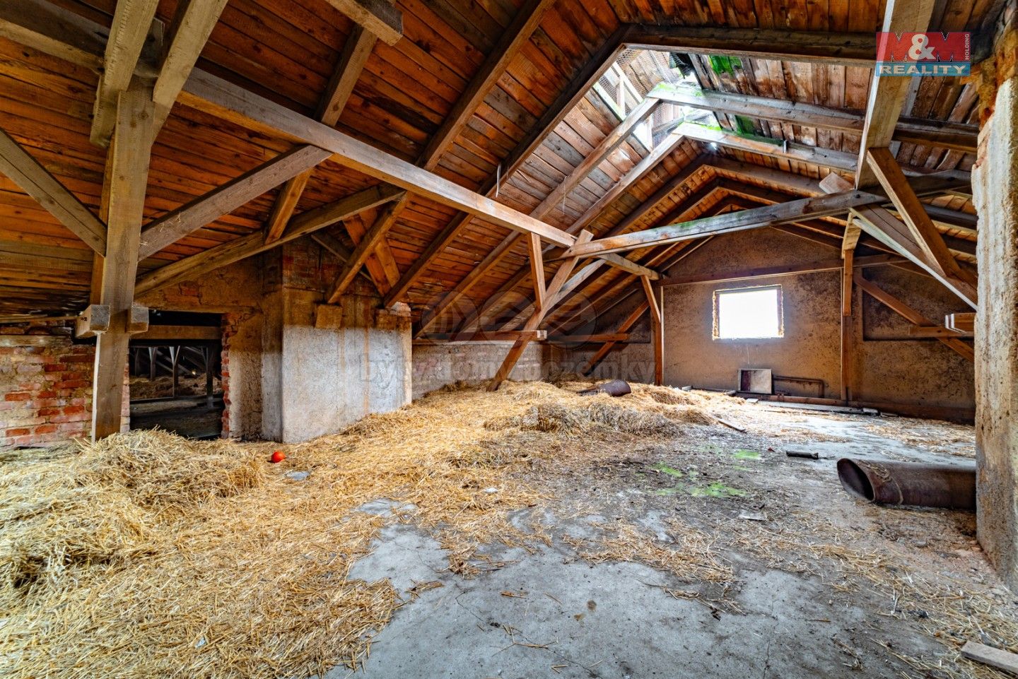 Prodej nemovitosti 600 m² - foto 6