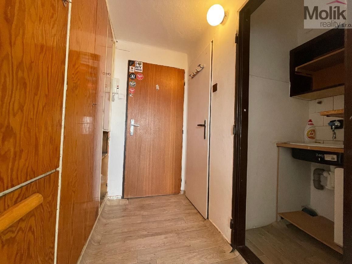 Pronájem bytu 1+kk 27 m² - foto 9