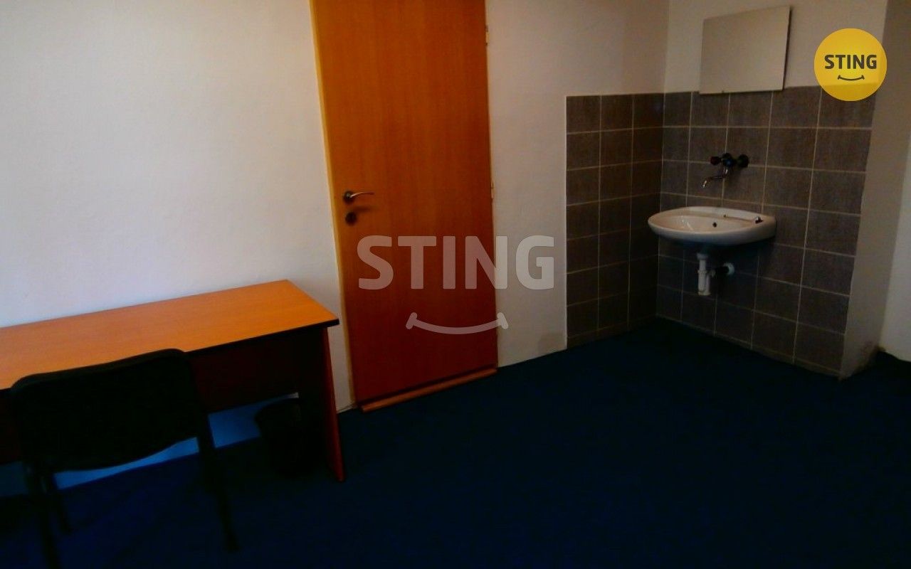 Pronájem komerčního prostoru 580 m² - foto 4