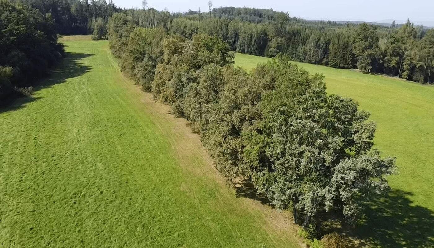 Prodej pozemku 4295 m² - foto 1