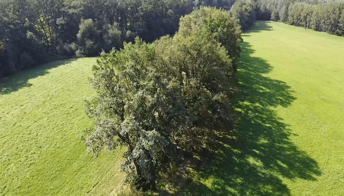 Prodej pozemku 4295 m² - foto 2