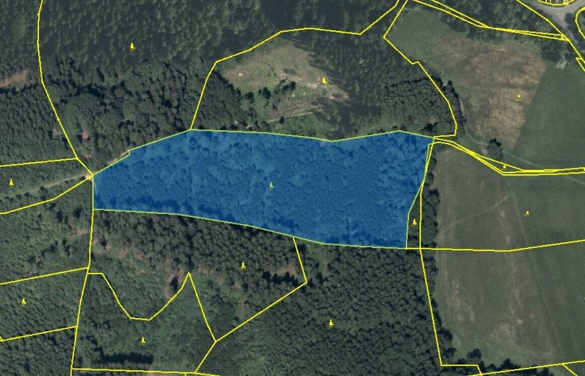 Pronájem pozemku 23172 m² - foto 1