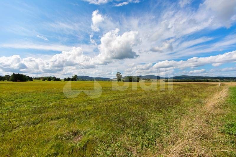 Prodej pozemku 3036 m² - foto 7