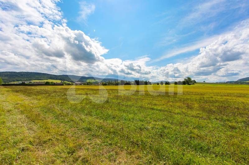 Prodej pozemku 3036 m² - foto 9