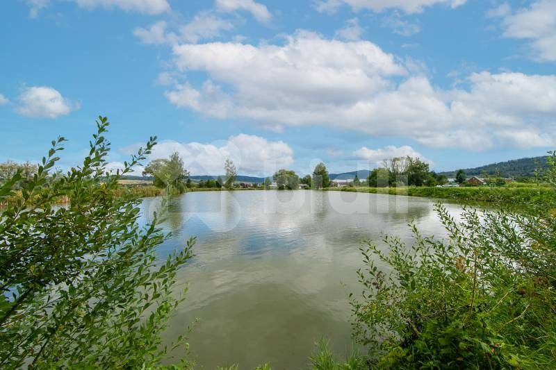 Prodej pozemku 17343 m² - foto 5