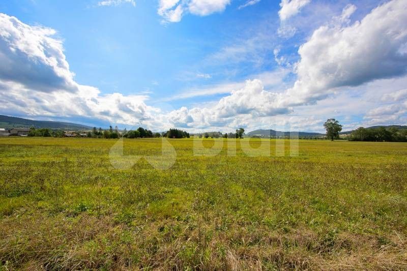 Prodej pozemku 17343 m² - foto 8