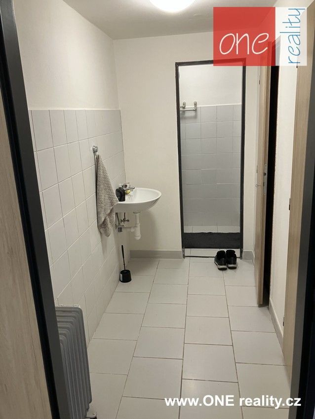 Pronájem komerčního prostoru 220 m² - foto 8