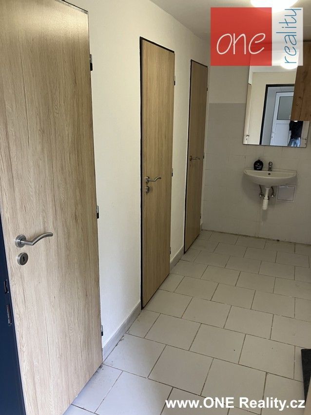 Pronájem komerčního prostoru 220 m² - foto 9