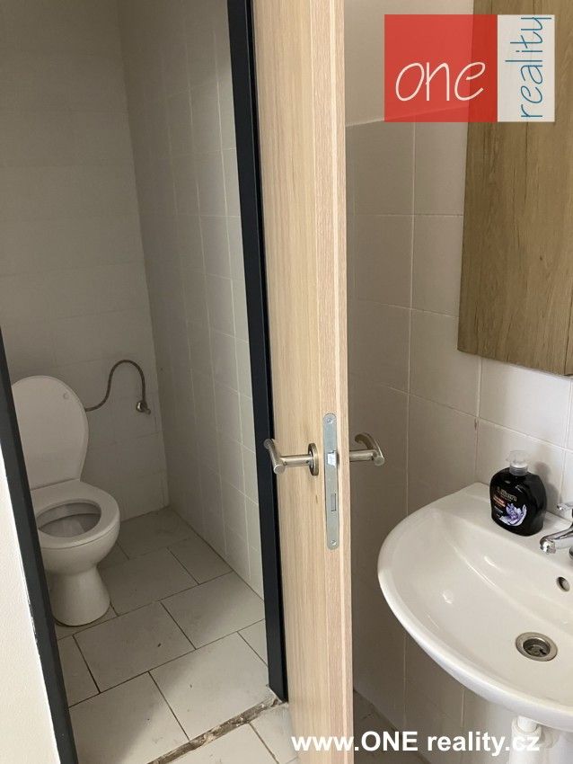 Pronájem komerčního prostoru 220 m² - foto 10