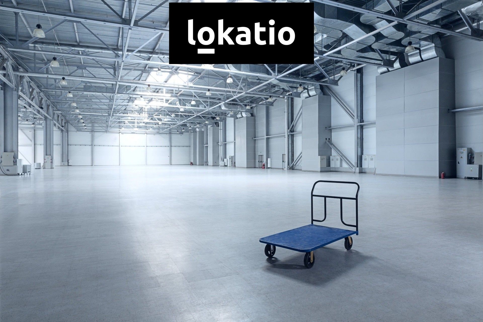 Pronájem komerčního prostoru 3912 m² - foto 1