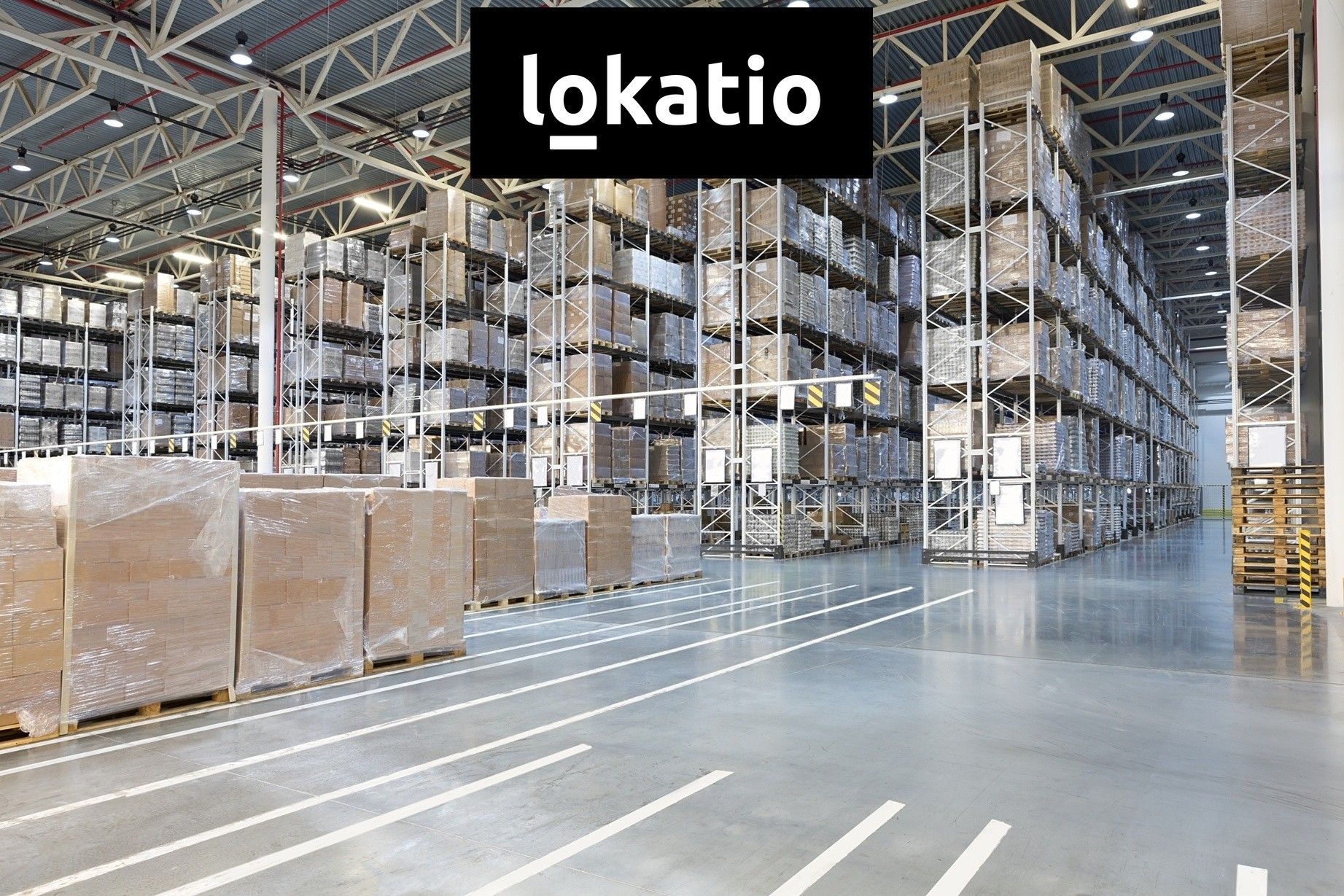 Pronájem komerčního prostoru 3912 m² - foto 7