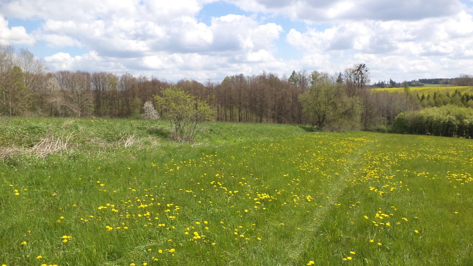 Prodej nemovitosti 5357 m² - foto 2