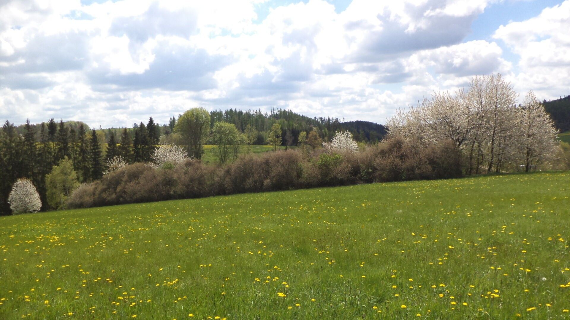 Prodej nemovitosti 5357 m² - foto 3