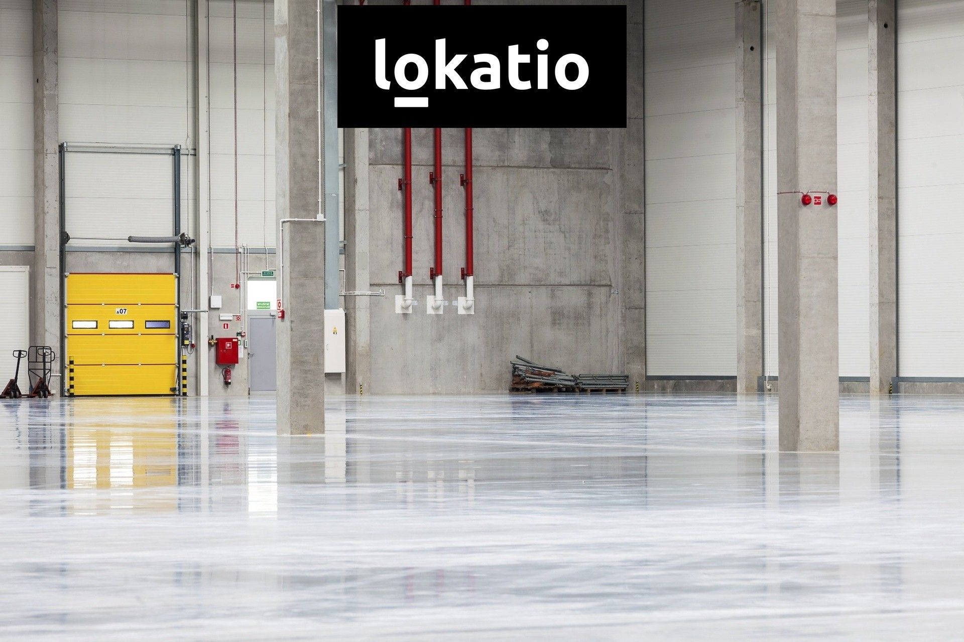 Pronájem komerčního prostoru 5000 m² - foto 3