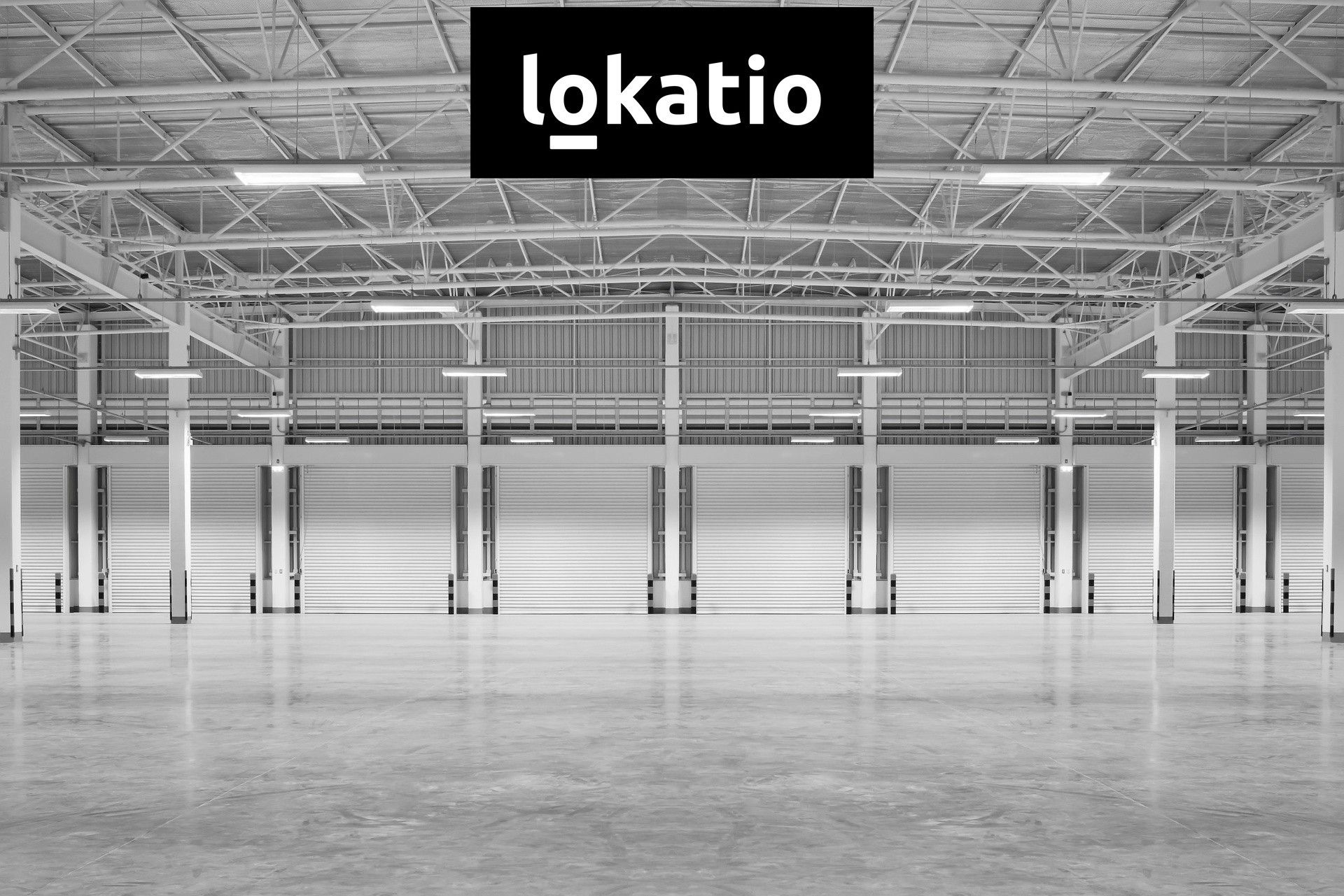 Pronájem komerčního prostoru 5000 m² - foto 4