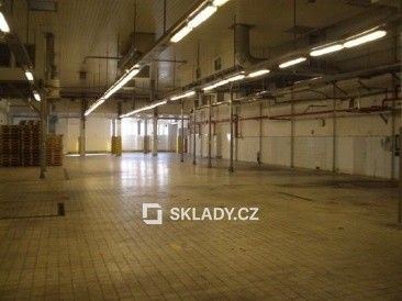 Pronájem komerčního prostoru 1931 m² - foto 4