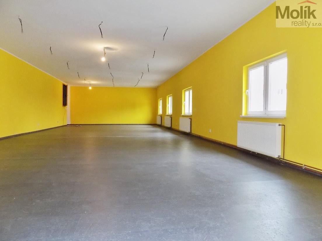 Prodej komerčního prostoru 1054 m² - foto 7