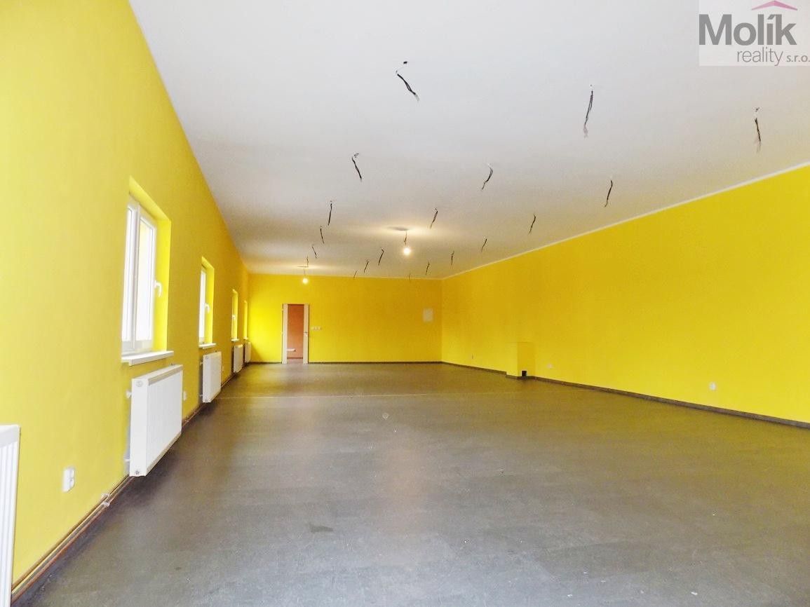 Prodej komerčního prostoru 1054 m² - foto 14