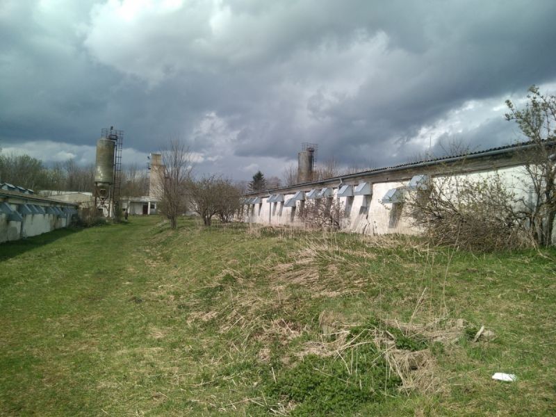 Prodej komerčního prostoru 4000 m² - foto 2