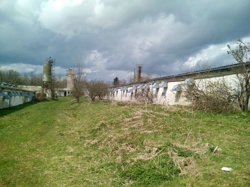 Prodej komerčního prostoru 4000 m² - foto 7