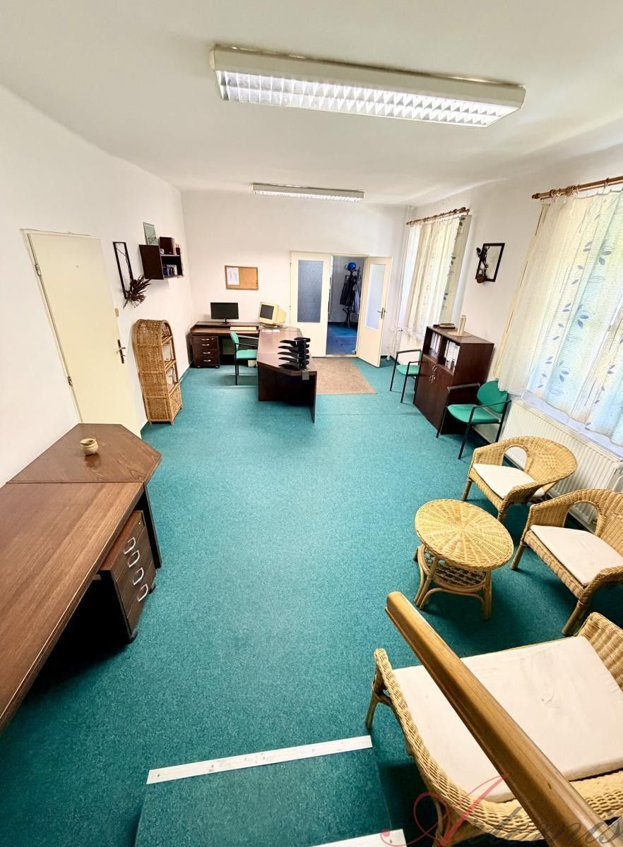 Prodej komerčního prostoru 400 m² - foto 11