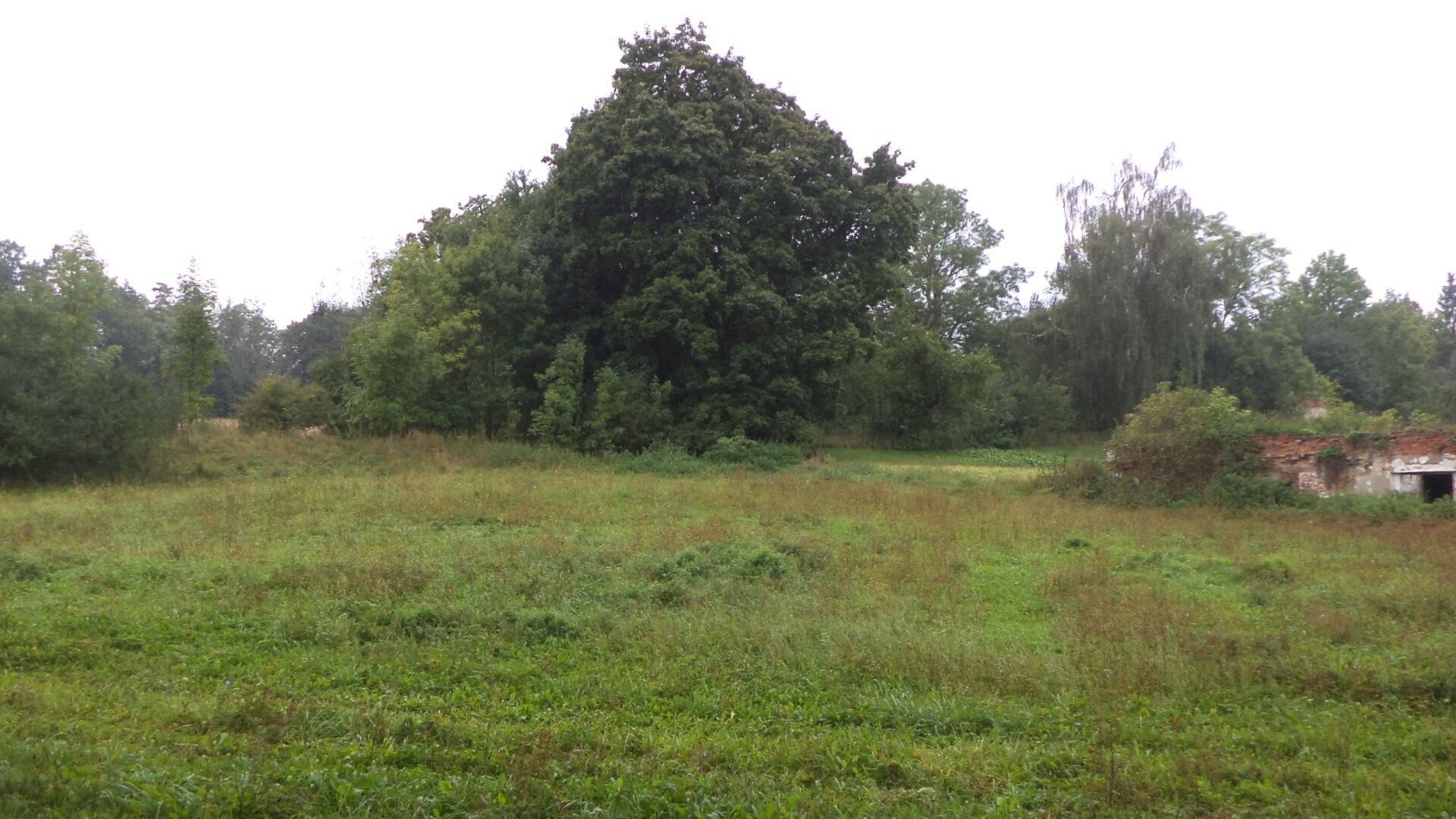 Prodej pozemku 1334 m² - foto 4