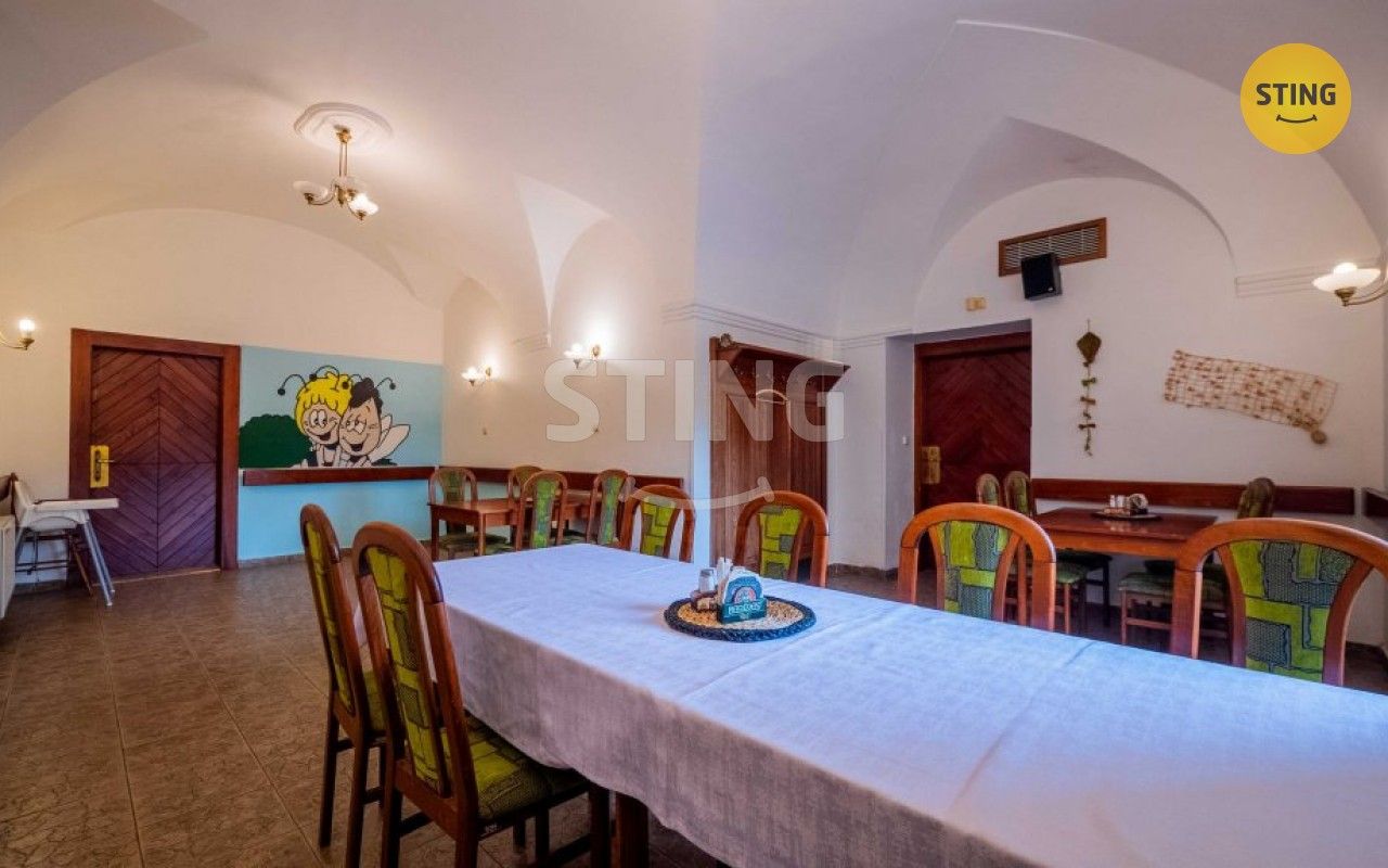 Prodej komerčního prostoru 500 m² - foto 13