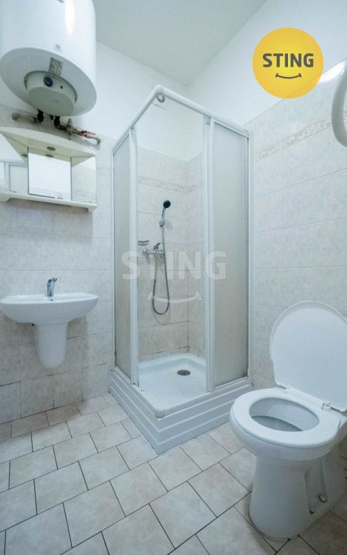 Prodej komerčního prostoru 500 m² - foto 20