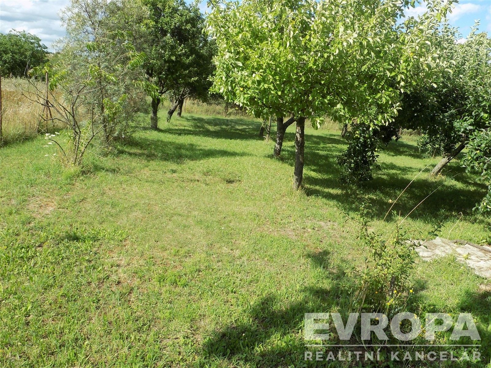 Prodej pozemku 4787 m² - foto 4