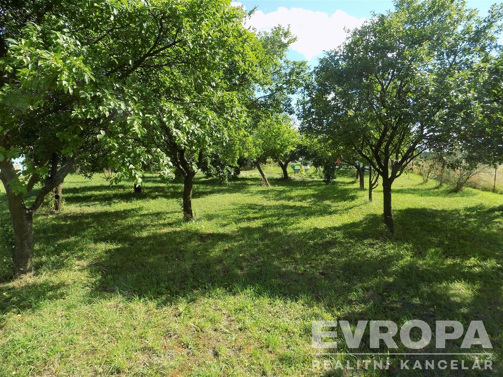 Prodej pozemku 4787 m² - foto 7
