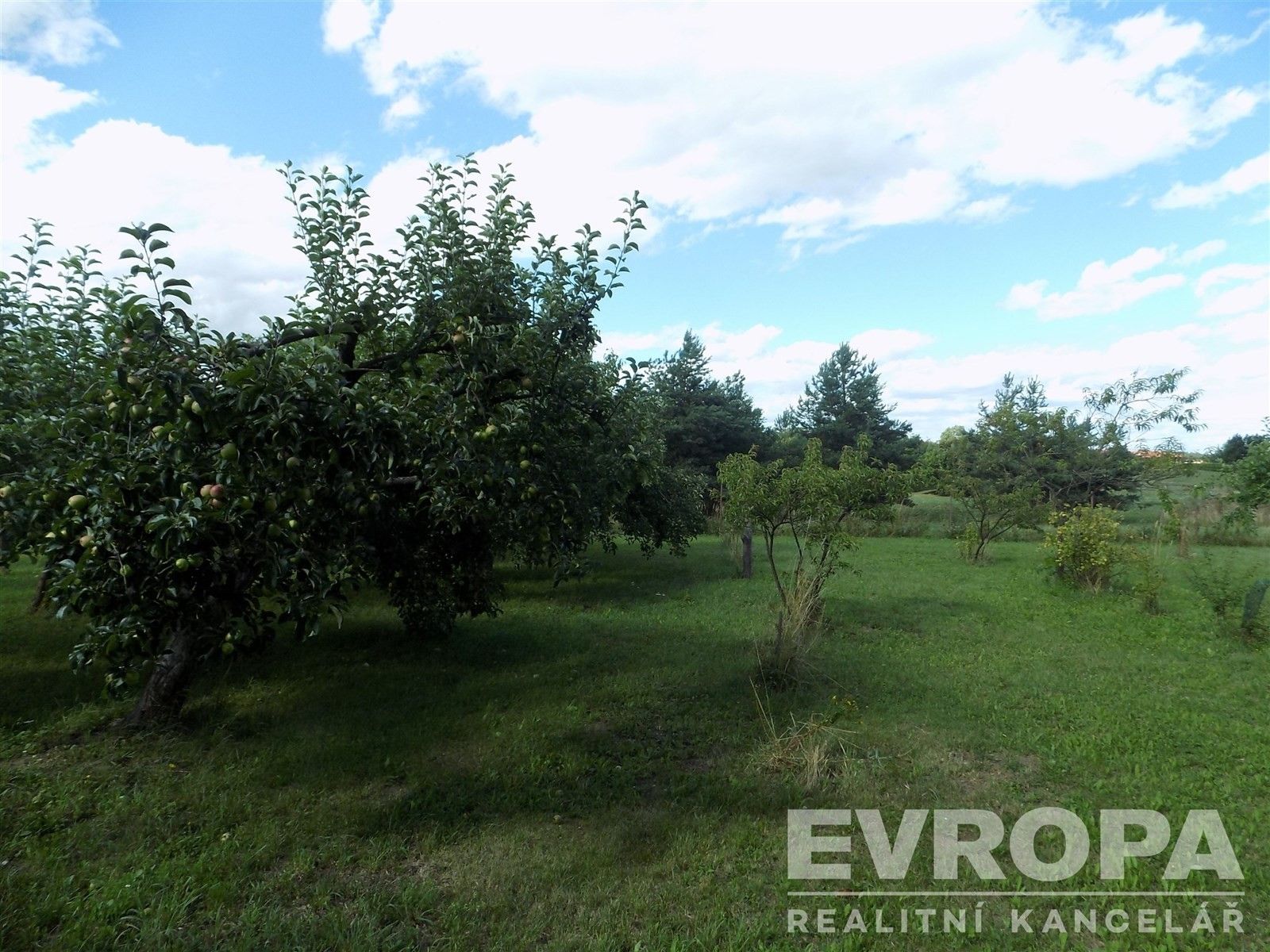 Prodej pozemku 4787 m² - foto 5