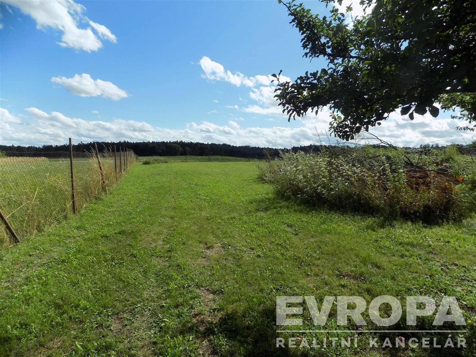 Prodej pozemku 4787 m² - foto 12