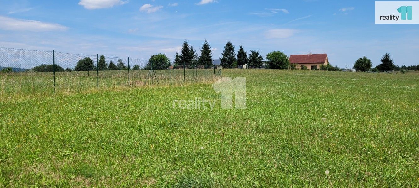 Prodej pozemku 4210 m² - foto 6