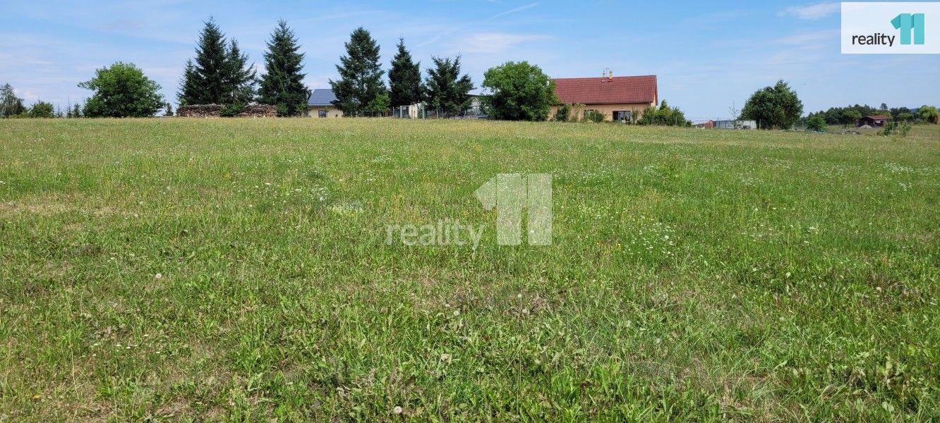 Prodej pozemku 4210 m² - foto 4