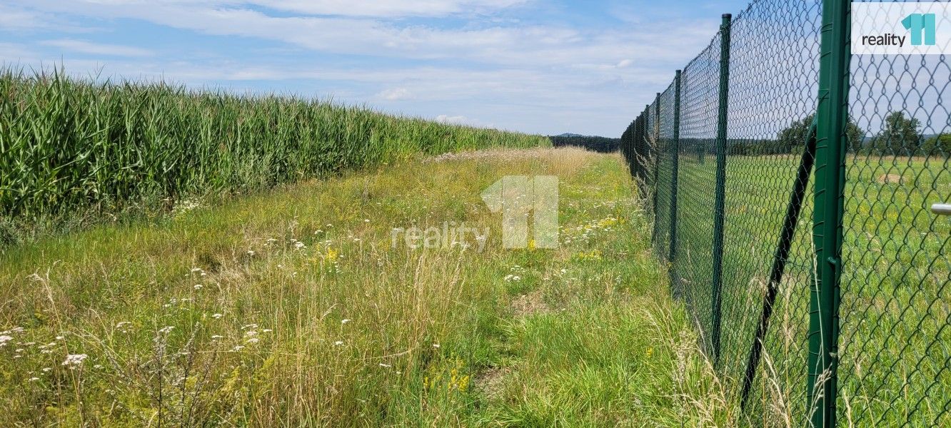 Prodej pozemku 4210 m² - foto 5