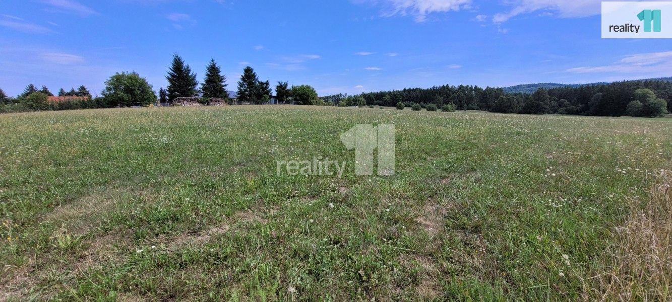 Prodej pozemku 4210 m² - foto 9