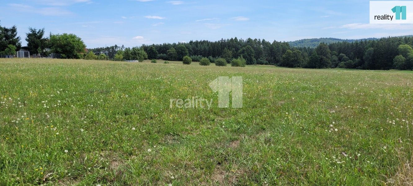 Prodej pozemku 4210 m² - foto 10