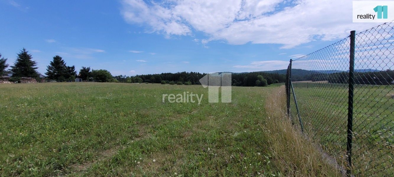 Prodej pozemku 4210 m² - foto 11