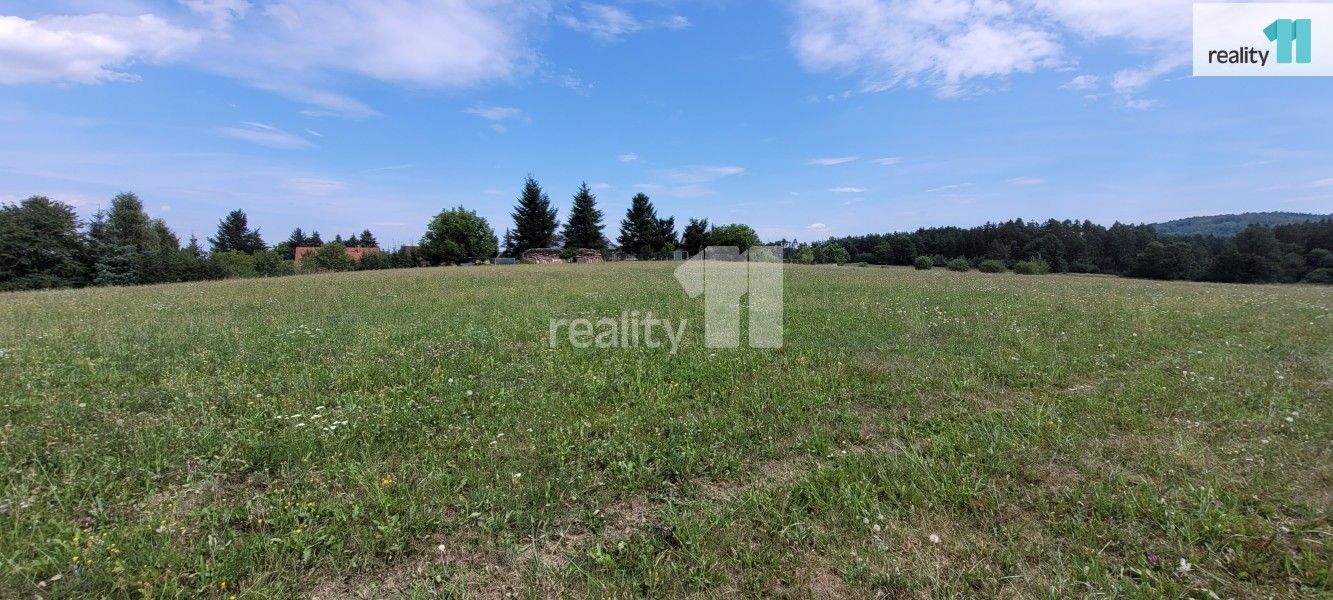 Prodej pozemku 4210 m² - foto 12